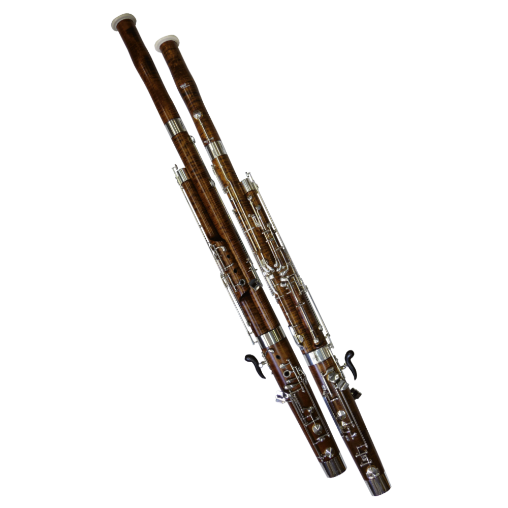 Bassoon S 2000 Plus